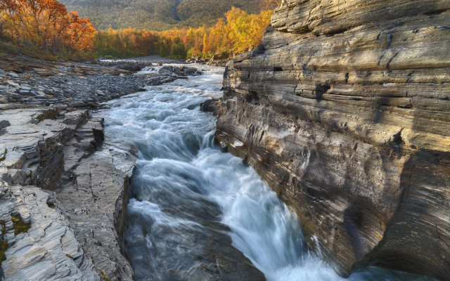 Hudson river canyon fall foliage free wallpaper - medium preview image