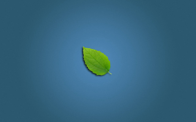 Green leaf blue surface light free wallpaper - medium preview image