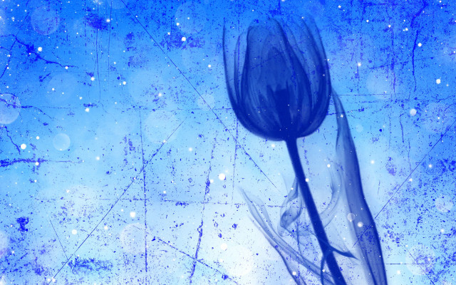 Blue flower blue background starry free wallpaper - medium preview image