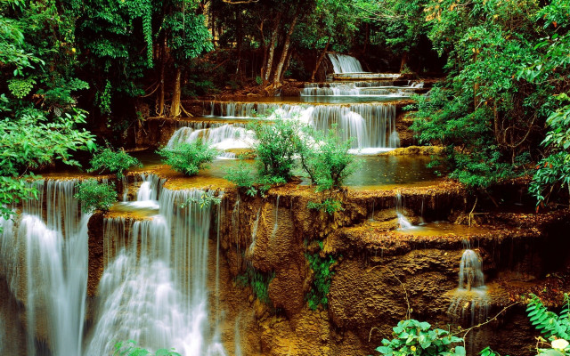 Waterfall forest cascading trees nature free wallpaper - medium preview image