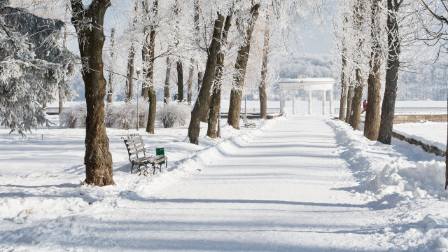 Snowy path benches trees white free wallpaper - medium preview image