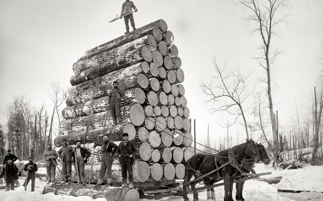 Man horse carriage log snow free wallpaper - medium preview image
