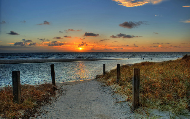 Sunset path beach ocean sky free wallpaper - medium preview image