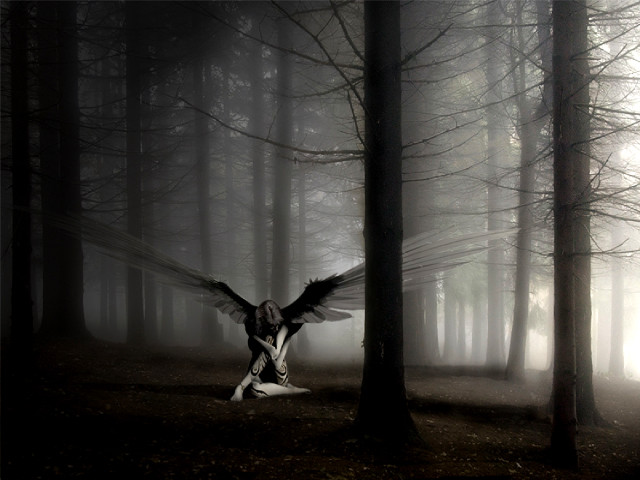 Woman wings dark forest fog free wallpaper - medium preview image