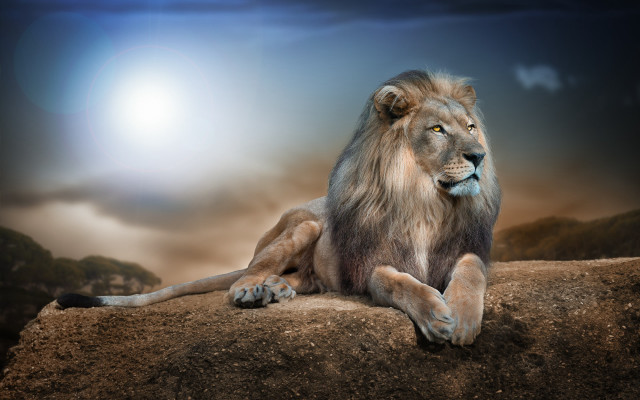 Lion rock sky cloud sun free wallpaper - medium preview image