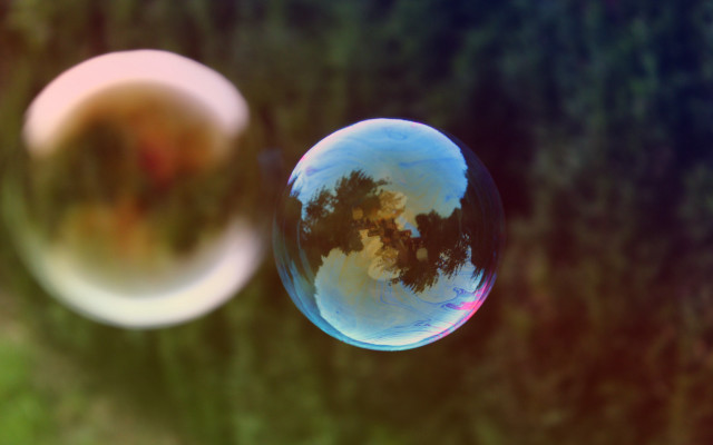 Soap bubble reflection tree surrealism free wallpaper - medium preview image