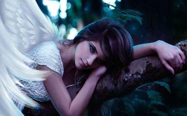 Angel woman forest wings dress free wallpaper - medium preview image
