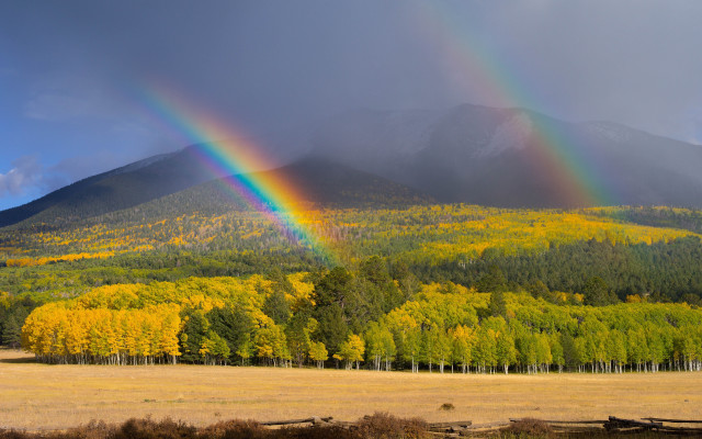 Rainbow mountains forest sunset blue free wallpaper - medium preview image
