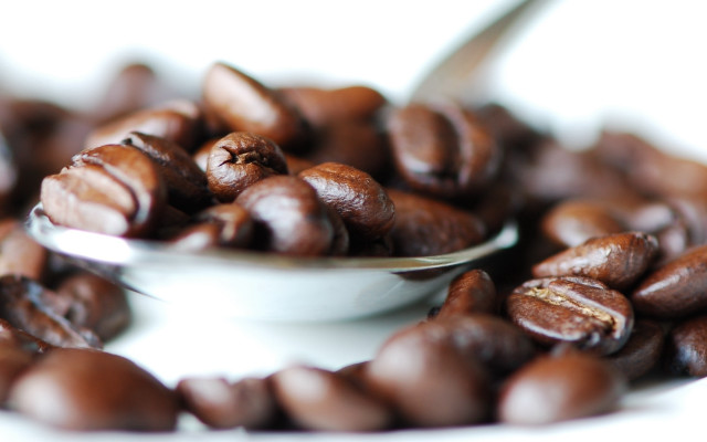Coffee beans spoon white background free wallpaper - medium preview image