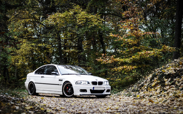 White car autumn forest night free wallpaper - medium preview image