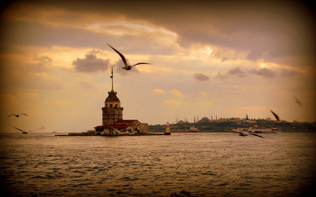 Birds lighthouse cityscape matte cinematic free wallpaper - medium preview image