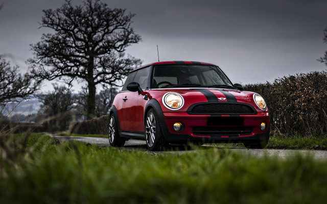 Red mini cooper road tree free wallpaper - medium preview image