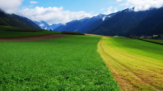 Green field yellow strip mountains free wallpaper - medium preview image