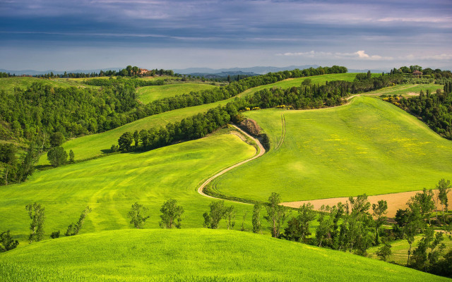 Green field winding path trees free wallpaper - medium preview image