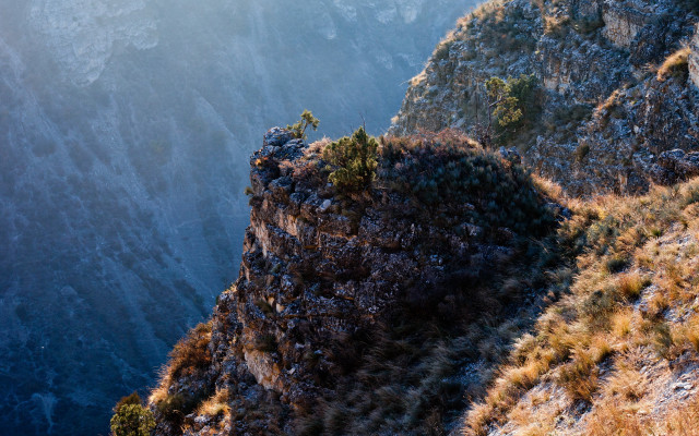 Mountain cliff tree sky sunset free wallpaper - medium preview image