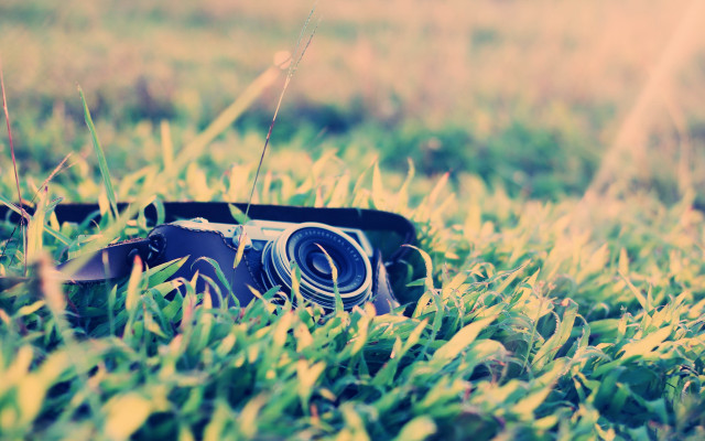 Camera field flower bokeh lomography free wallpaper - medium preview image