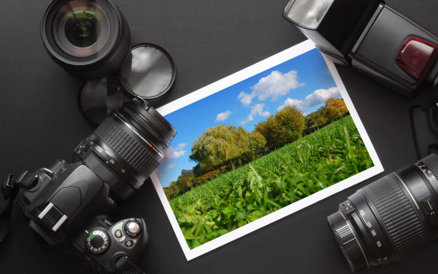 Camera field trees grass lens free wallpaper - medium preview image