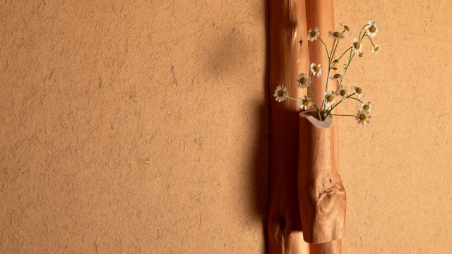 Vase flowers wall wooden stick free wallpaper - medium preview image
