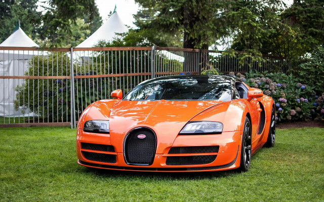 Orange car fence flowers park free wallpaper - medium preview image