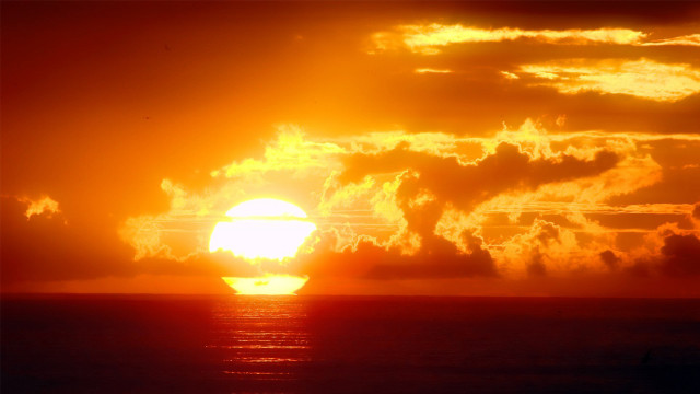 Sunset clouds boat bird horizon free wallpaper - medium preview image