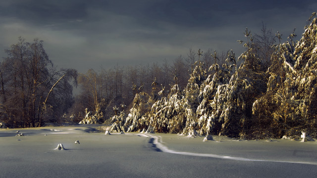 Snowy landscape trees path mountain free wallpaper - medium preview image