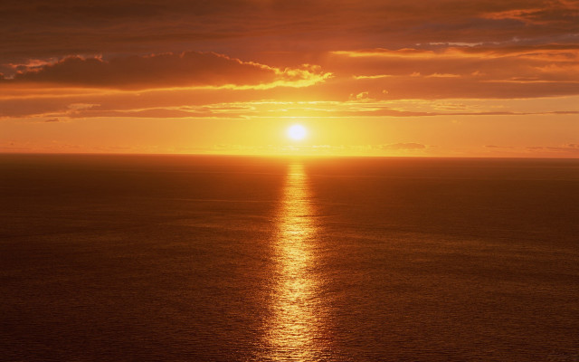 Sunset ocean boat bird dusk free wallpaper - medium preview image