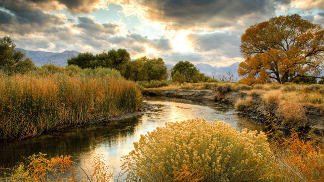 River green field cloudy sky free wallpaper - medium preview image