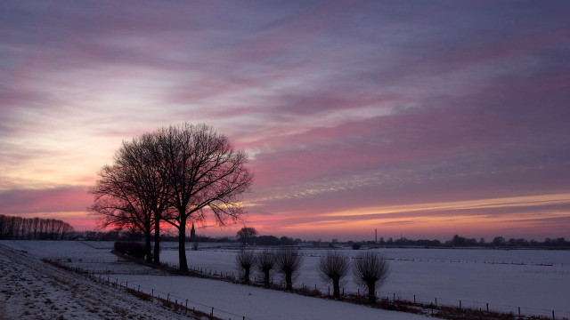 Snowy field tree fence pink free wallpaper - medium preview image
