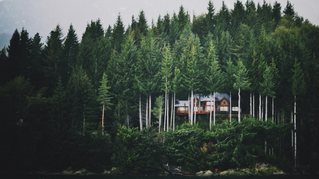 House forest boat trees peaceful free wallpaper - medium preview image