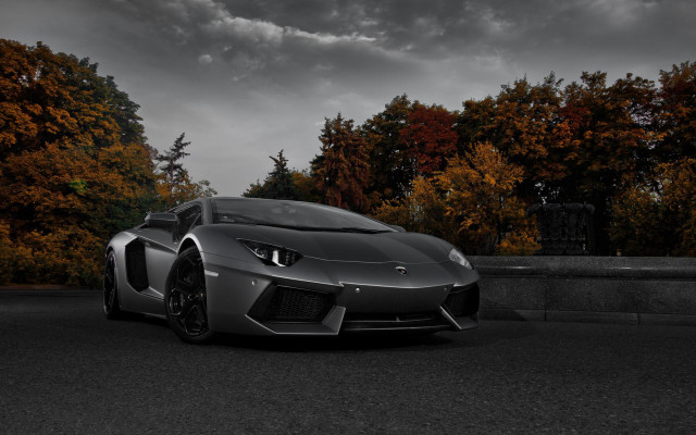 Silver sports car orange leaves free wallpaper - medium preview image
