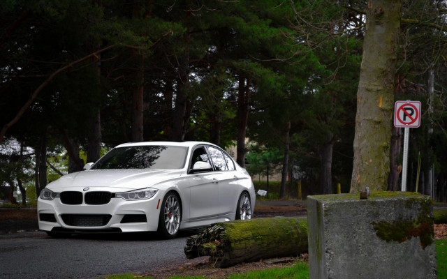 White car tree no parking free wallpaper - medium preview image
