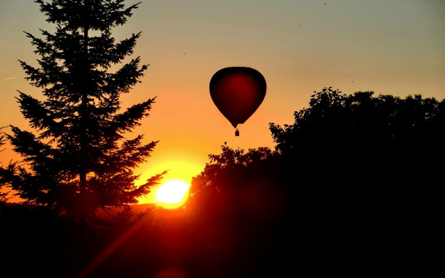 Hotairballoon forest sunset leaves backlighting free wallpaper - medium preview image