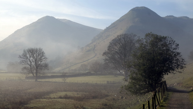 Foggy mountain path tree field free wallpaper - medium preview image