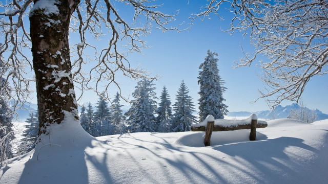 Snowy woodland bench mountain trees free wallpaper - medium preview image