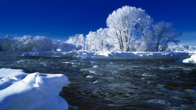 Winter river ice snow trees free wallpaper - medium preview image