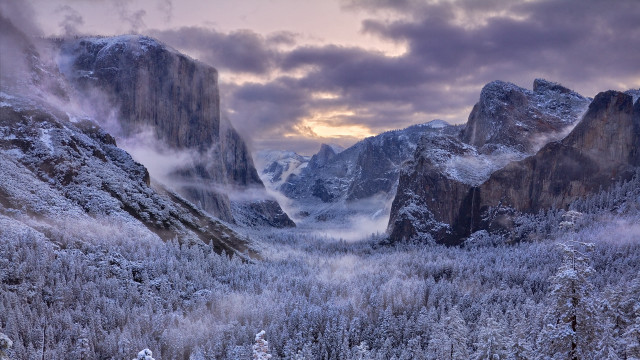 Snowy mountain valley forest lake free wallpaper - medium preview image