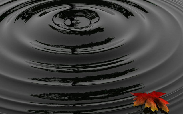 Red yellow leaf pond ripples free wallpaper - medium preview image