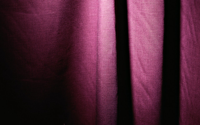 Purple curtain white cat studio free wallpaper - medium preview image