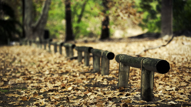 Metal pipes leaves forest bokeh free wallpaper - medium preview image