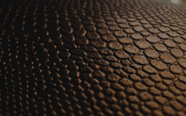 Brown surface circles texture blurry free wallpaper - medium preview image