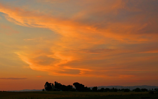Sunset plane clouds trees cityscape free wallpaper - medium preview image