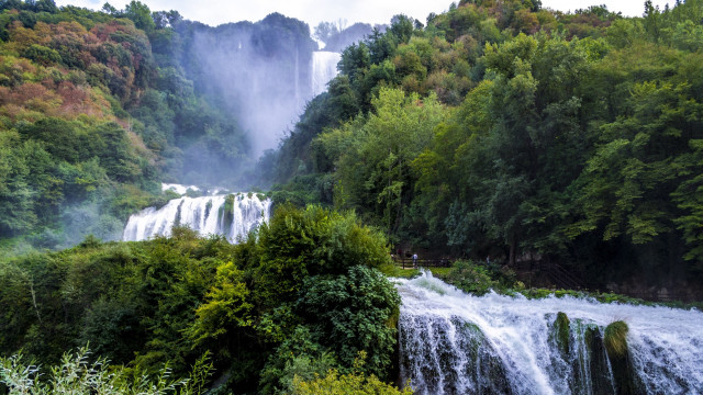 Waterfall forest nature scene bush free wallpaper - medium preview image