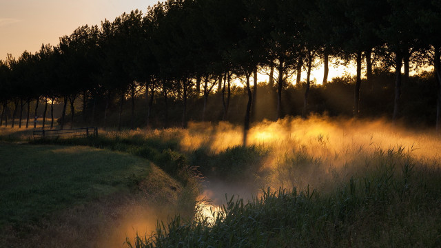 River forest sunset fog light free wallpaper - medium preview image