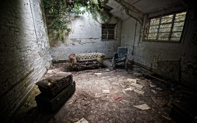 Overgrown vines room couch chair free wallpaper - medium preview image