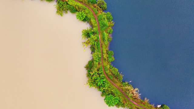 Train water trees aerial naturalism free wallpaper - medium preview image