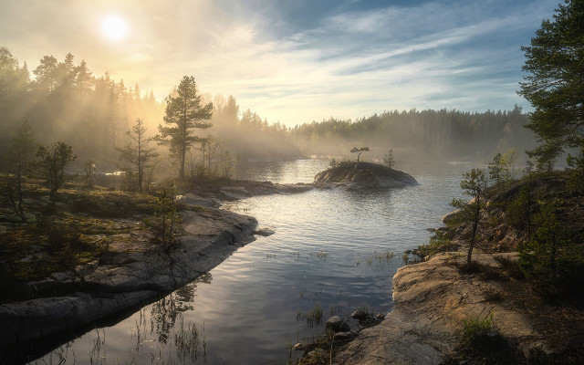 River island trees sunny cloudy free wallpaper - medium preview image