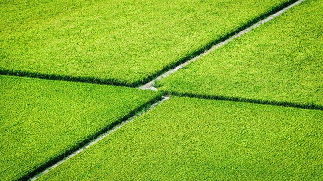 Green field grass patch fence free wallpaper - medium preview image