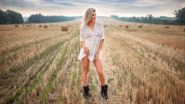 Hayfield sunset anna katharina longhair free wallpaper - medium preview image
