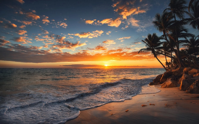 Sunset ocean palm trees rocky free wallpaper - medium preview image