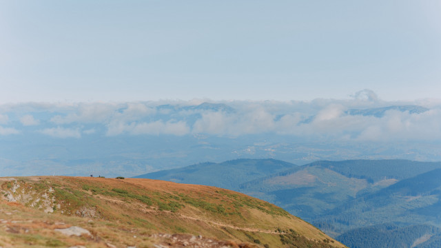 Lone sheep grassy hill mountains free wallpaper - medium preview image